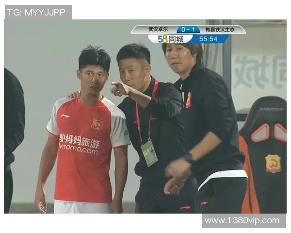 铁汉生态与恒大门票的较量背后揭示的市场机遇与挑战分析 铁汉生态与恒大门票的较量背后揭示的市场机遇与挑战分析