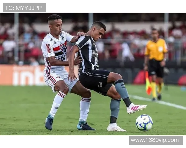 博塔弗戈与巴球队对决精彩瞬间回顾与赛后分析