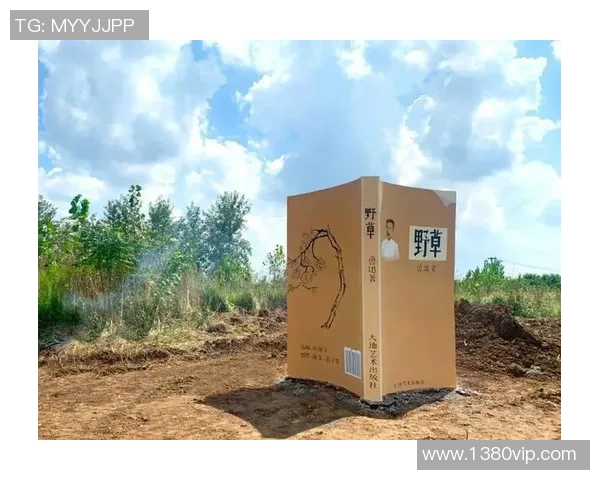 李泓澎：从文学创作到社会影响力的全方位探索与思考